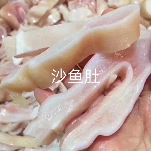 东山县鱼胶  鲨鱼肚，新鲜鱼肚切丝海鲜海产鱼鳔爆炒炖汤超好吃