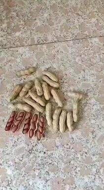 福州红皮花生 带壳花生 干货