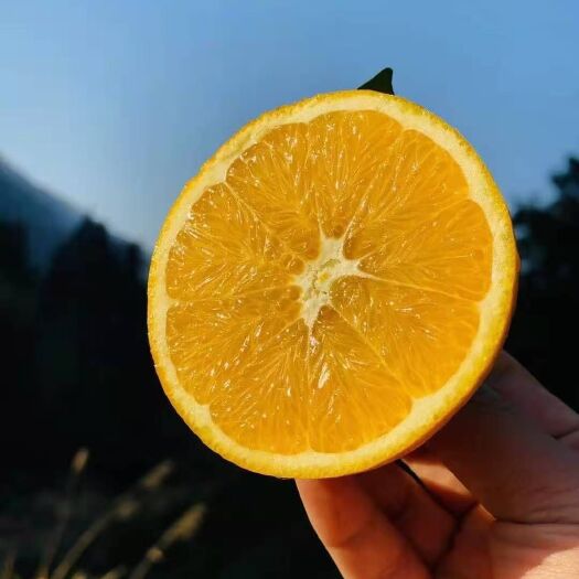 正宗赣南脐橙，好吃不贵，橙经有你，生活更美好！