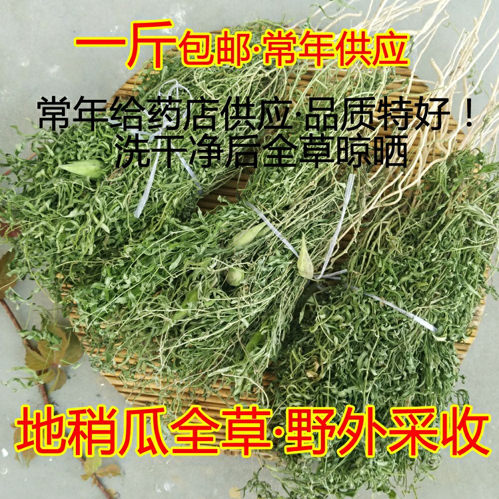 地梢瓜种苗  地梢瓜地稍瓜奶瓜瓜羊母奶草切段干品一斤包邮