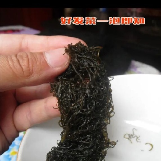 靖远县发菜一级