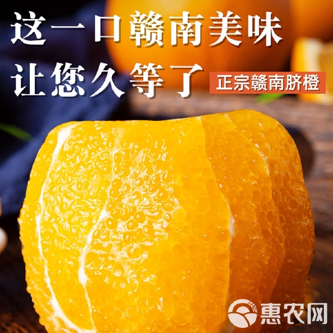 橙子赣南脐橙江西安远基地直发诚招一件代发当季水果纽贺尔脐橙