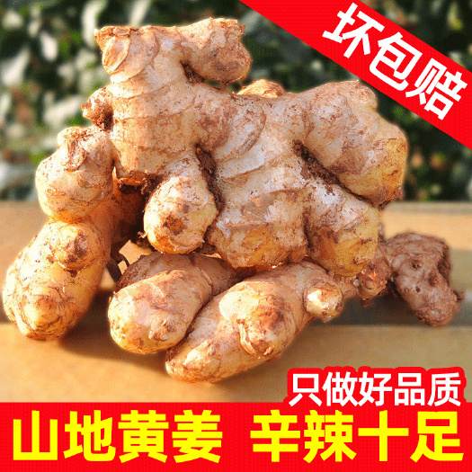 生姜，姜还是老的辣，土生土长的姜
