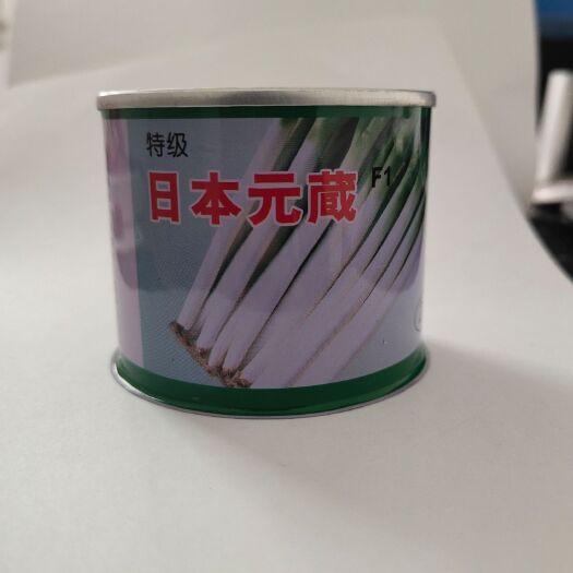 日本大蔥種子元藏鋼蔥種籽鐵桿高產(chǎn)春秋季播蔬菜種孑