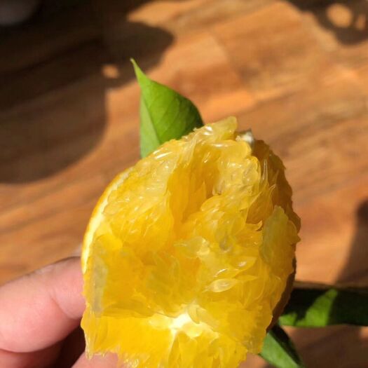 宁都县赣南脐橙，大果粒香甜橙，果汁橙农家果，当季时榨汁新鲜水果橙