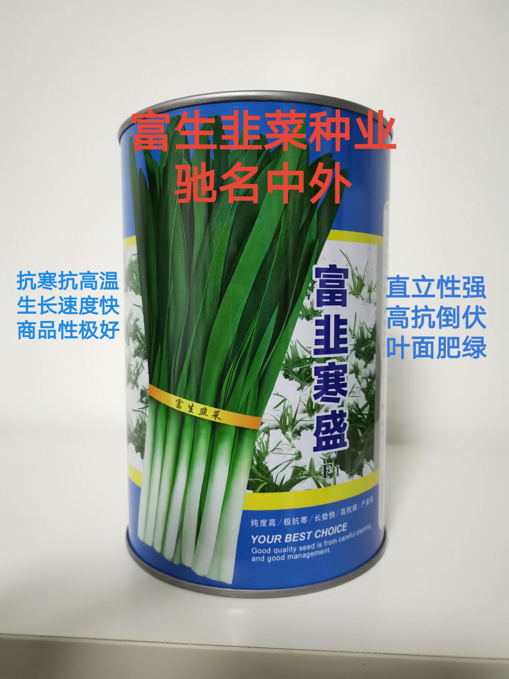 韭菜种子 富生―富韭寒盛 纯度高抗寒长势快抗病