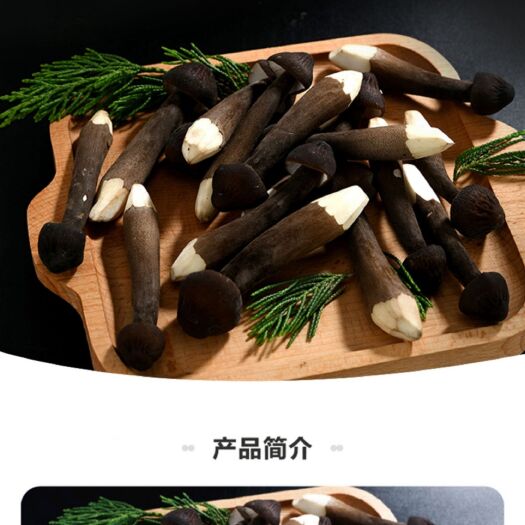 莱州市鸡枞菌 鸡枞菇