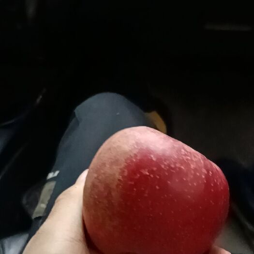 鄂州昭通苹果 昭通冰糖心丑苹果