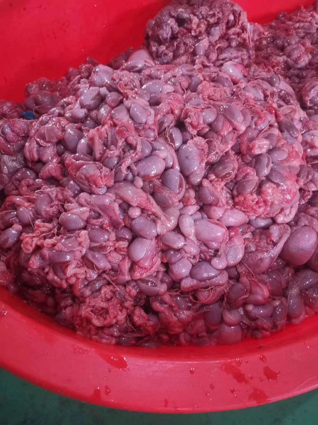 猪腰子  新鲜小猪蛋  头刀菜  小猪宝 小猪睾丸