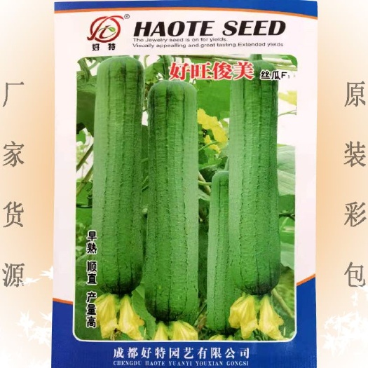 丝瓜种子 早熟香丝瓜肉丝瓜种子 产量好节节有瓜包邮