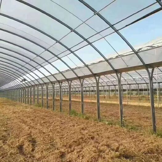 沭阳县大棚管 种植棚   养殖棚  连体棚 联栋棚