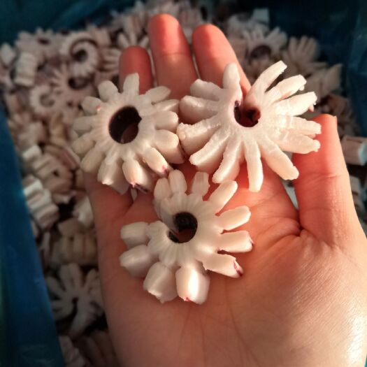 荣成市冷冻鱿鱼  鱿鱼齿轮花