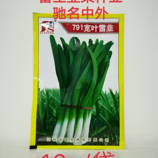 荥阳市韭菜种子 富生 791宽叶雪韭叶绿肥厚高抗寒口感辛香商品性佳