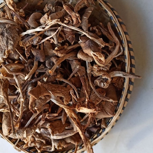 昆明 鸡枞菌
