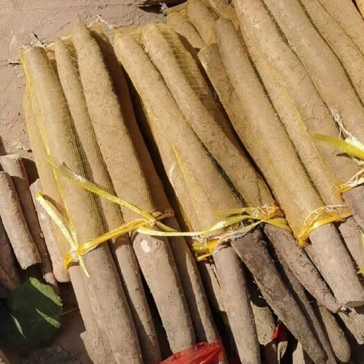大名县 白玉山药日上货量十几吨，价格便宜1.2