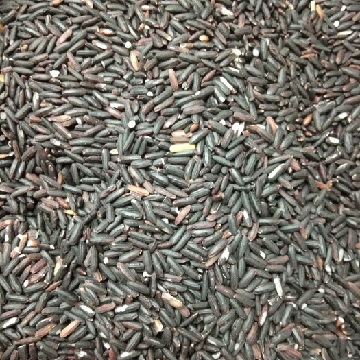 黑香米 广西东兰特产糯墨米
