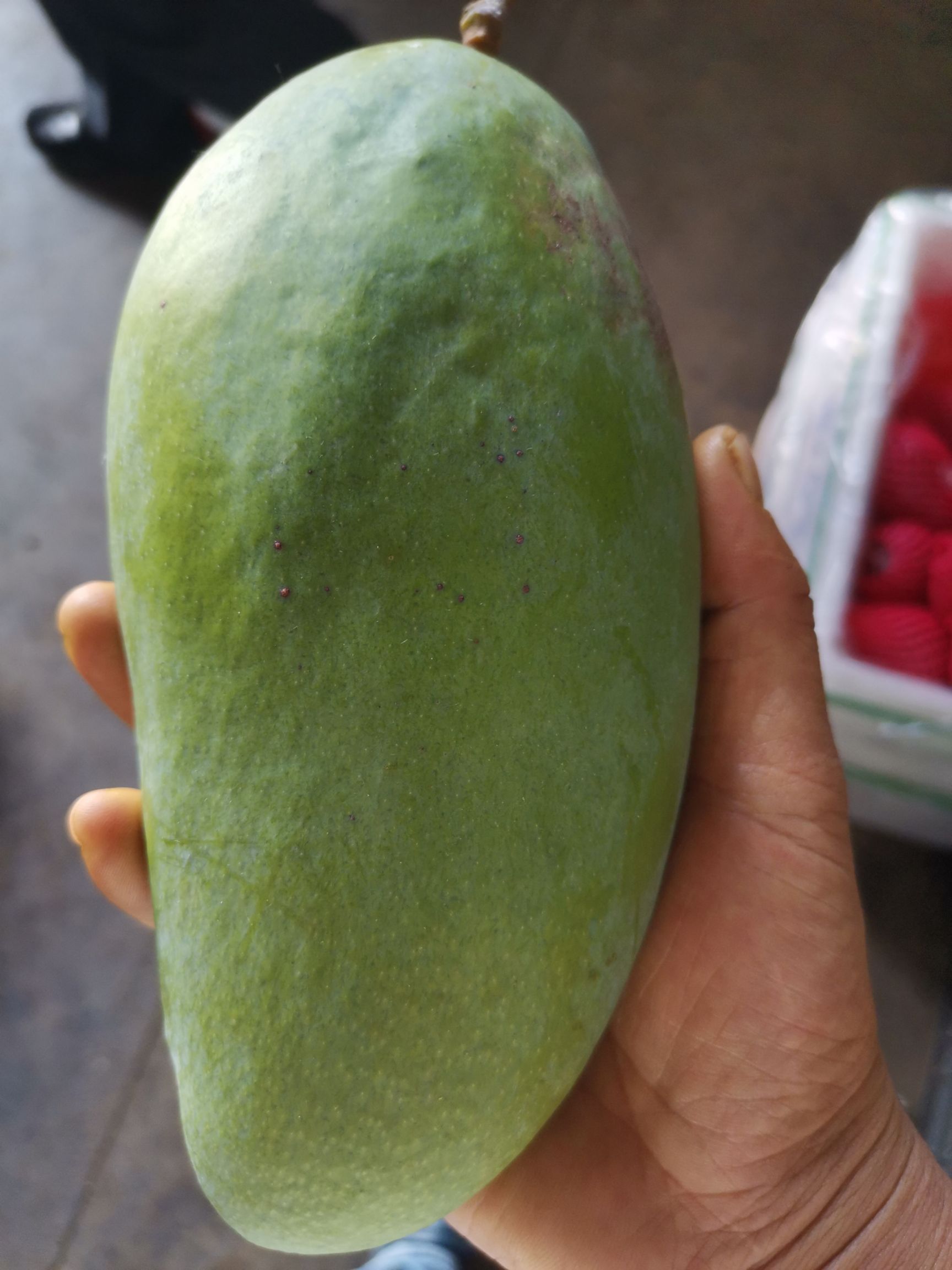 大青芒 越南青芒  青果芒