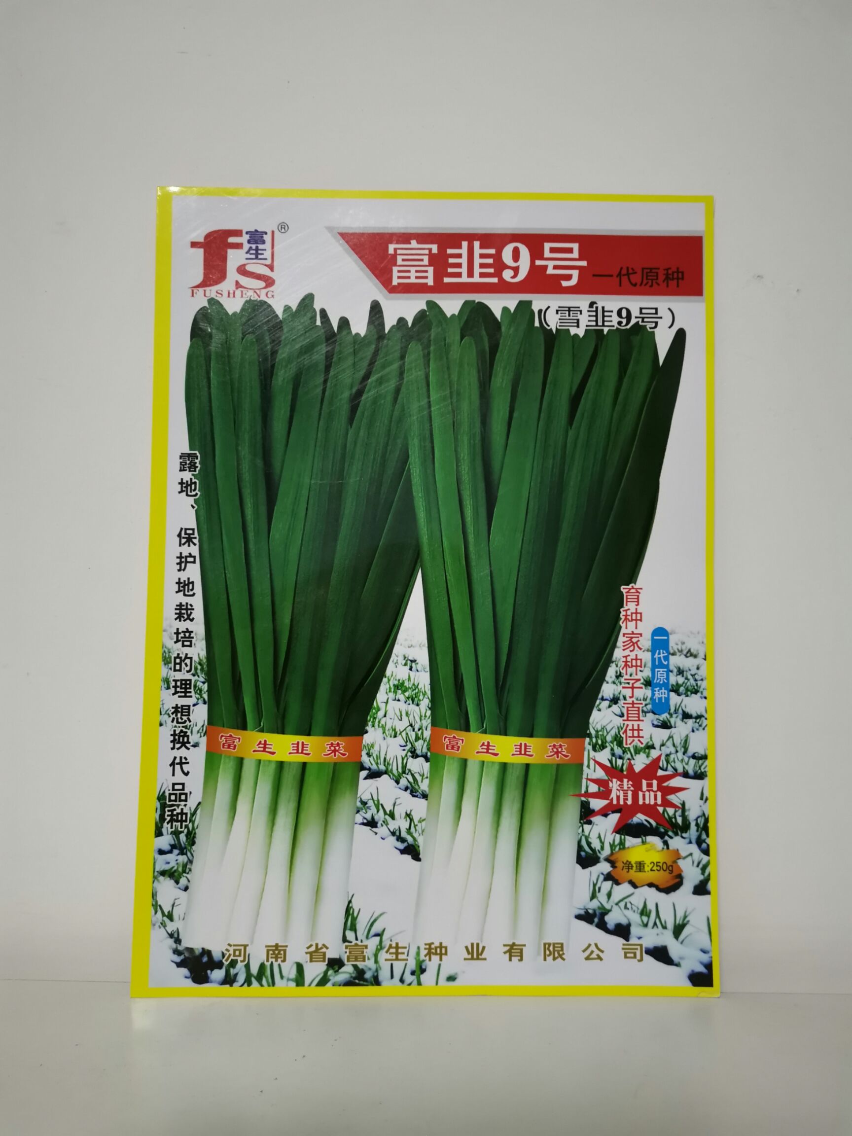 荥阳市韭菜种子 富韭9号（雪韭9号）原种 抗寒耐热抗病抗逆，品质好