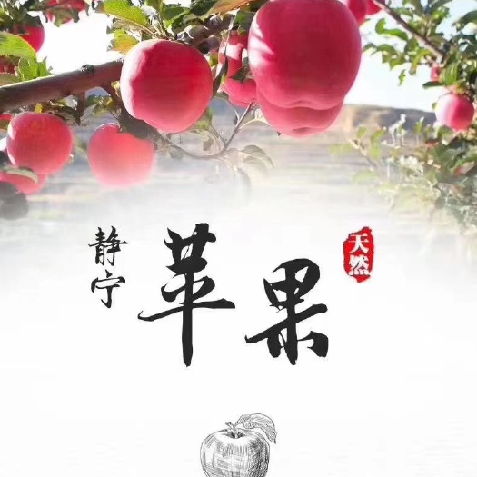 静宁县静宁苹果  静宁红富士