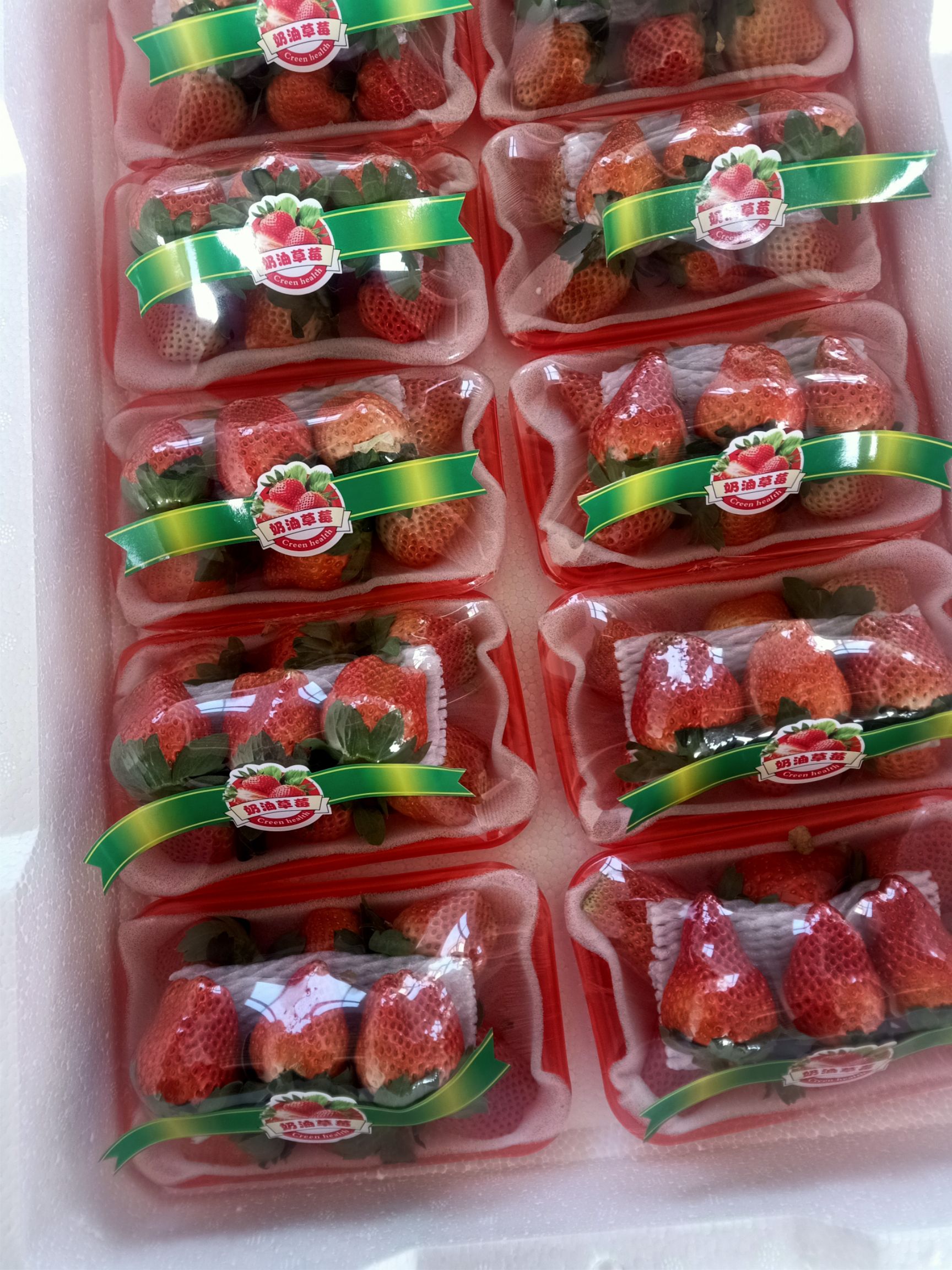邳州市妙香草莓  江苏新鲜草莓市大量供应批发甜查理草莓红颜草莓