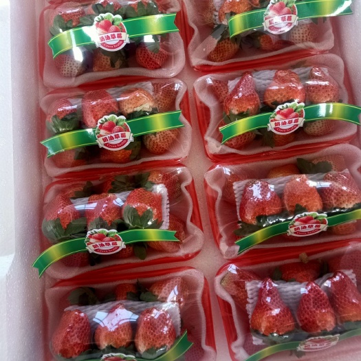 妙香草莓  江苏新鲜草莓市大量供应批发甜查理草莓红颜草莓