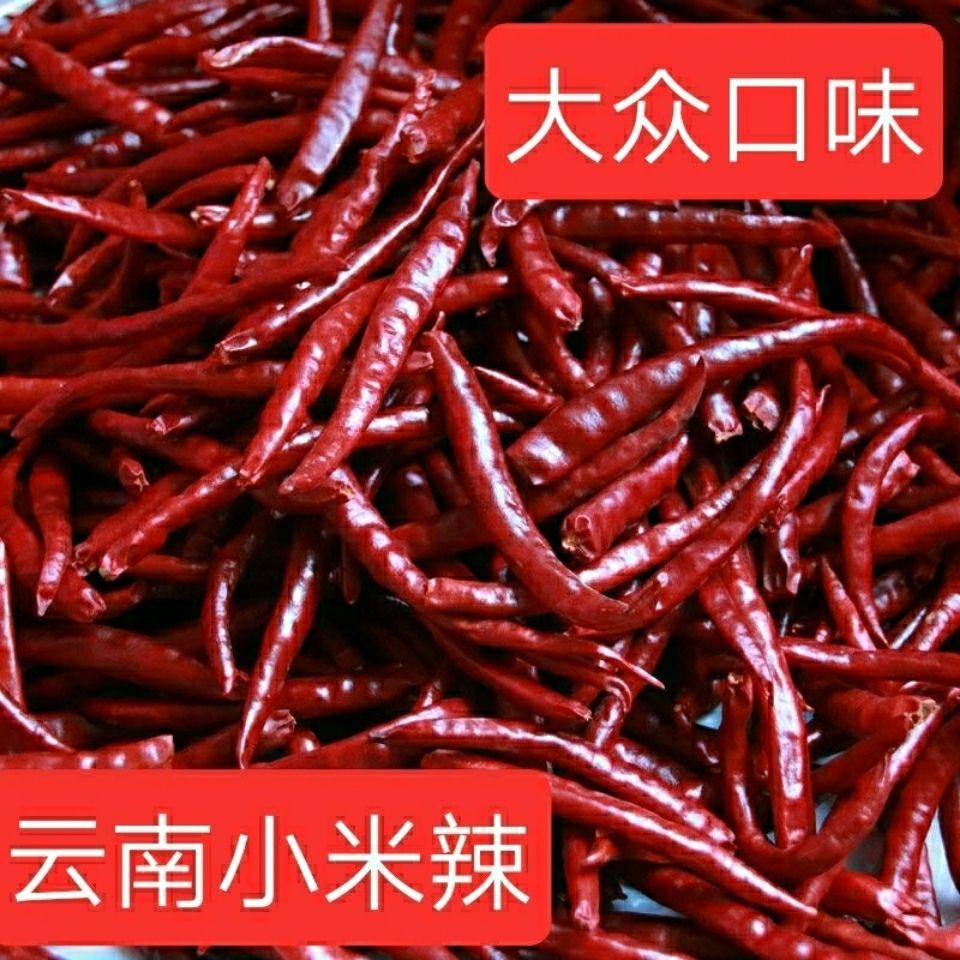 新一代干辣椒 云南丘北辣