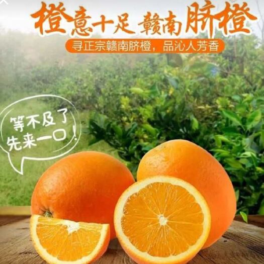 全南县正宗赣南脐橙