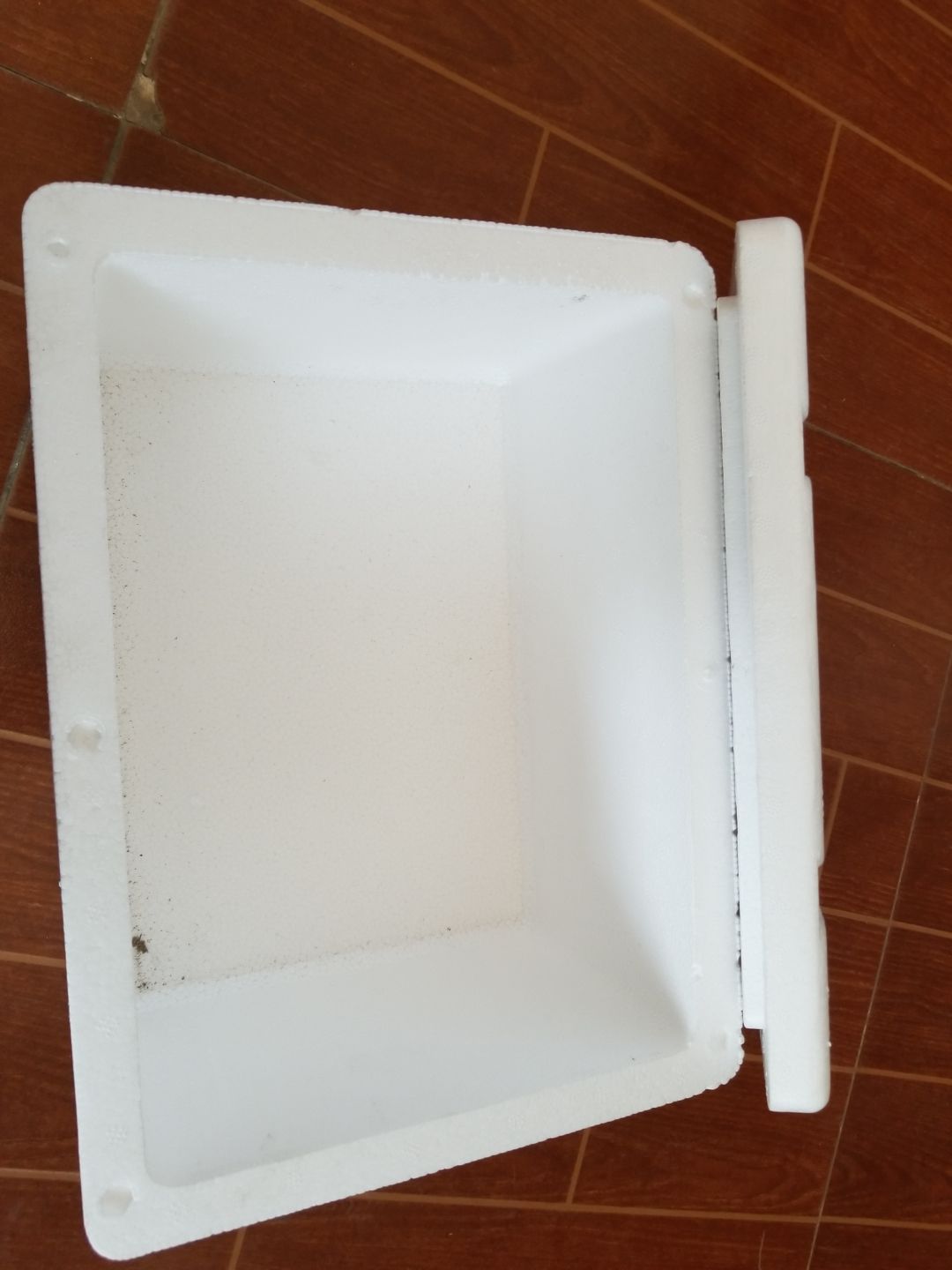 荔枝 龙眼 秋葵 小米椒 彩椒 仔姜泡沫箱 快递箱 3斤装