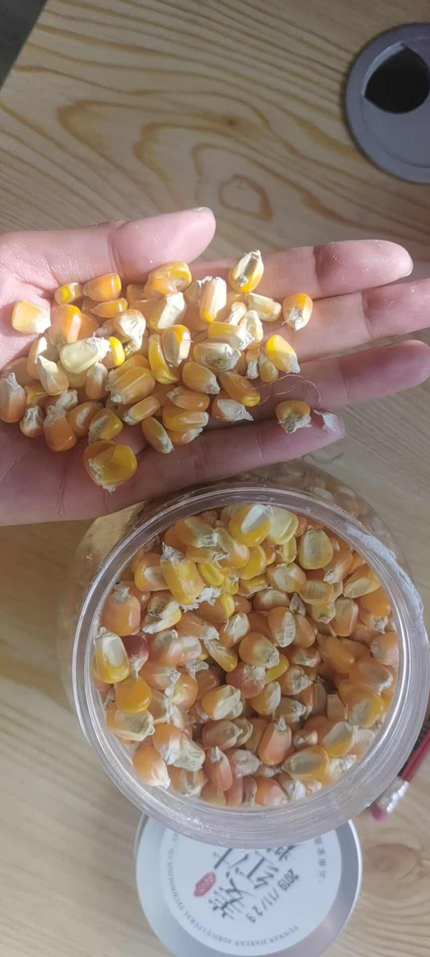 干玉米  净货