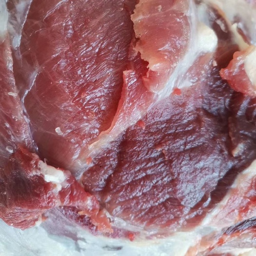 彭阳申家川香猪，生长周期长，味香肉嫩，肉瓷实。无药残。