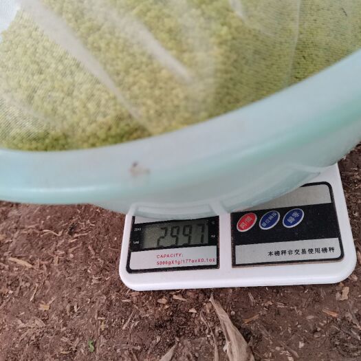 灌云县豆虫卵豆丹卵，回收豆虫