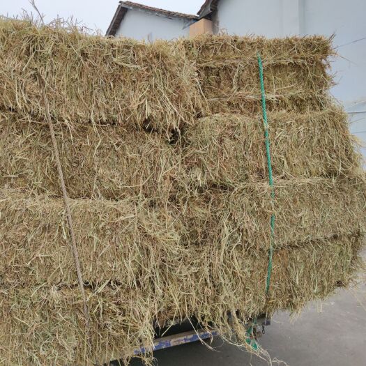 公安县稻草出售 新草上市
