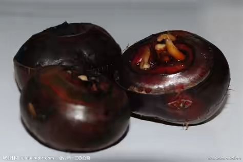 荔浦马蹄 中号 