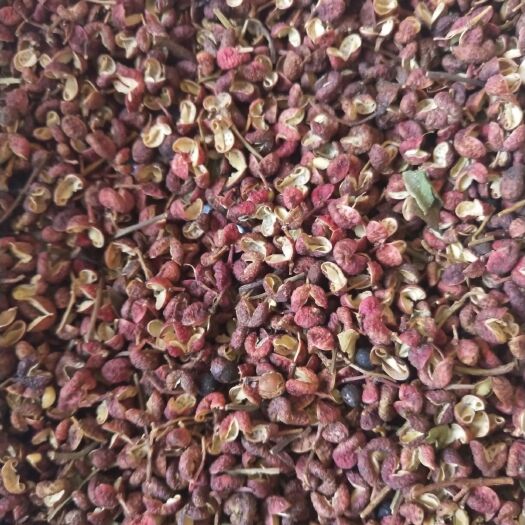肥城市茂汶花椒 量大从优