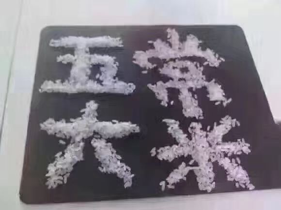 五常市稻花香 五常新米不在大街上，不在大超市，更不会在批发市场，而还在田间