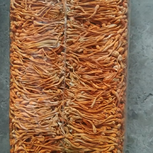 北虫草  内蒙古地区各类无硫虫草花，自然颜色干净度好，产地直