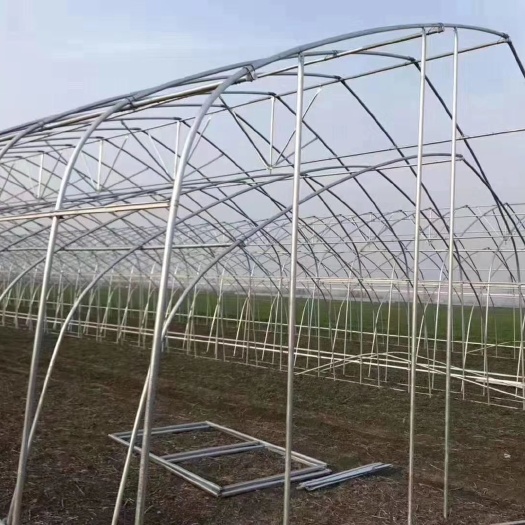 天津钢管大棚 大棚骨架 大棚配件 蔬菜大棚 种植大棚 养殖大棚