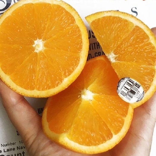 上海澳洲新奇士3107黑标sunkist脐橙大甜橙子包邮