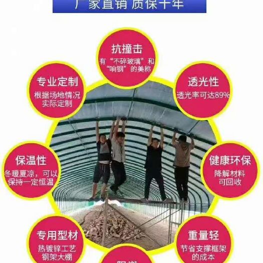 沭阳县大棚管 江苏温室大棚有限公司:种植棚  养殖棚  连体联栋棚