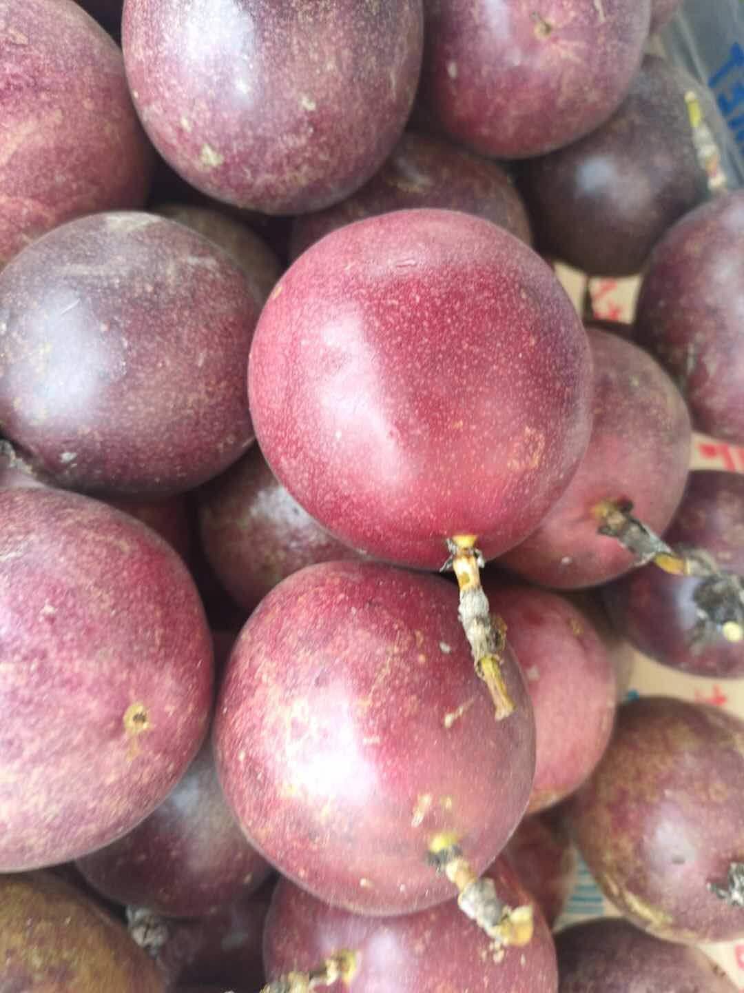 台农一号百香果  百香果