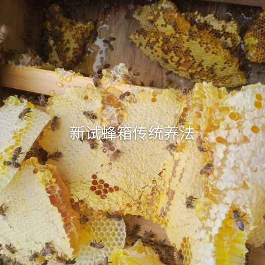 万源市老林山上土蜂蜜自家特产一年取一次结晶冬蜜