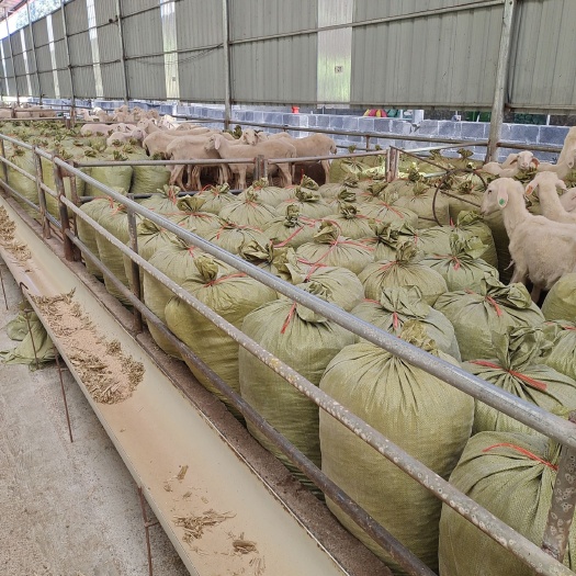 遂溪县 纯羊粪温性有机肥不烧根的肥料，肥肥肥料料