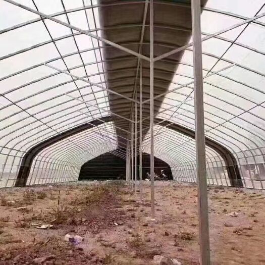 天津镀锌带种植大棚  专业生产大棚厂家，