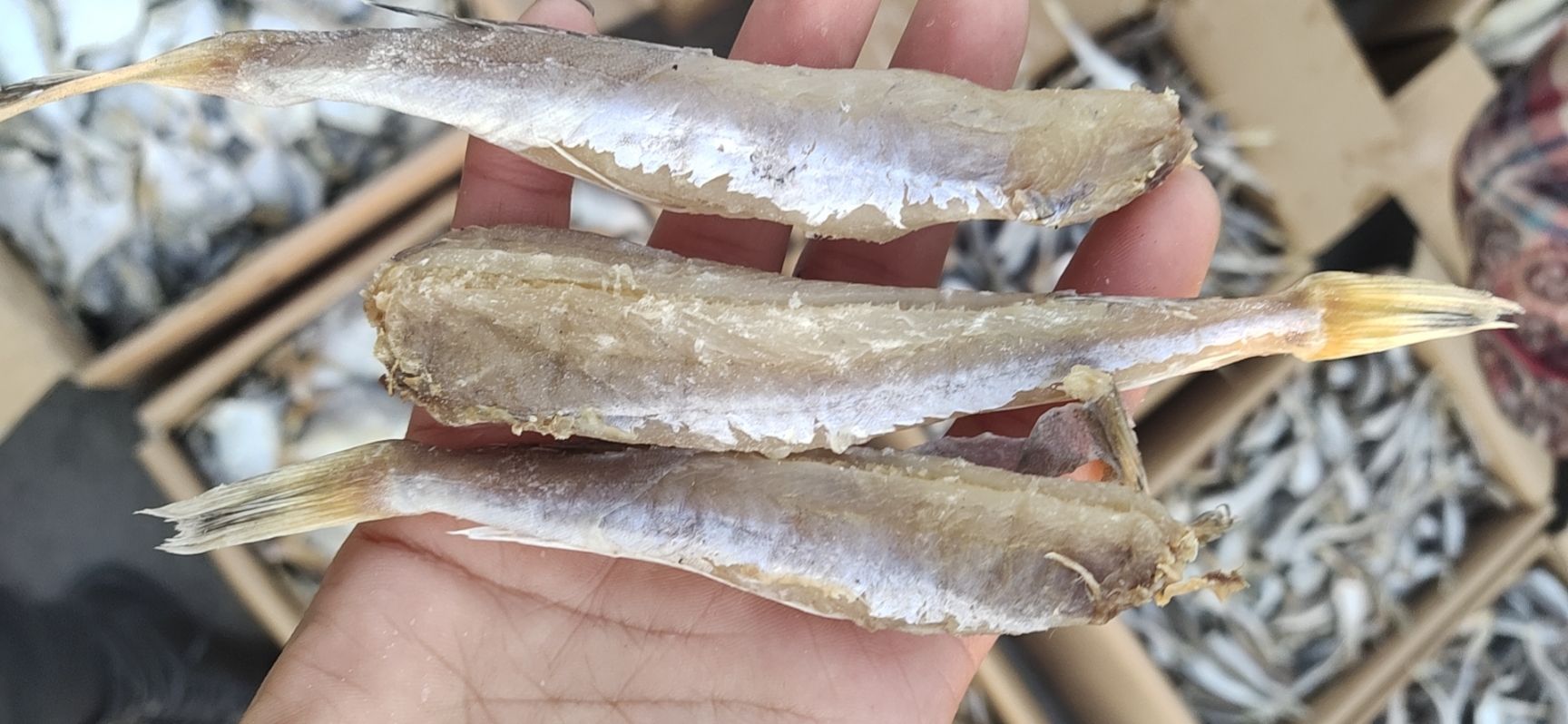 红鱼干  红头鱼，去头去尾的，用盐腌制的，没有碎刺，肉质劲道