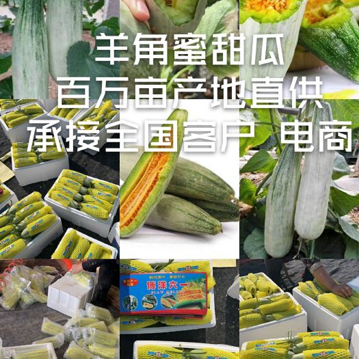 寿光市羊角蜜 羊角蜜甜瓜 山东羊角蜜 寿光羊角蜜甜瓜 货源充足