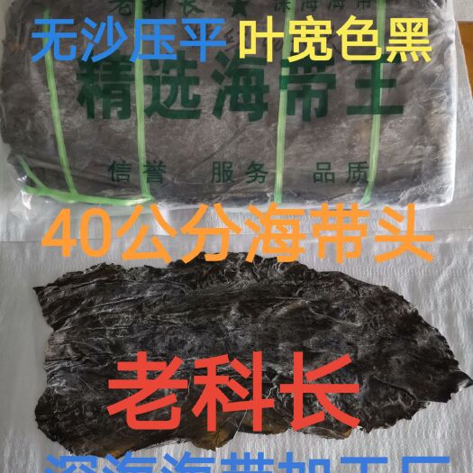 武陟县干海带  无黄无杂海带头：TJ40公分海带大头.宽厚黑.压缩