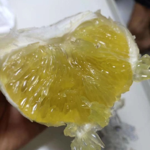 青柚