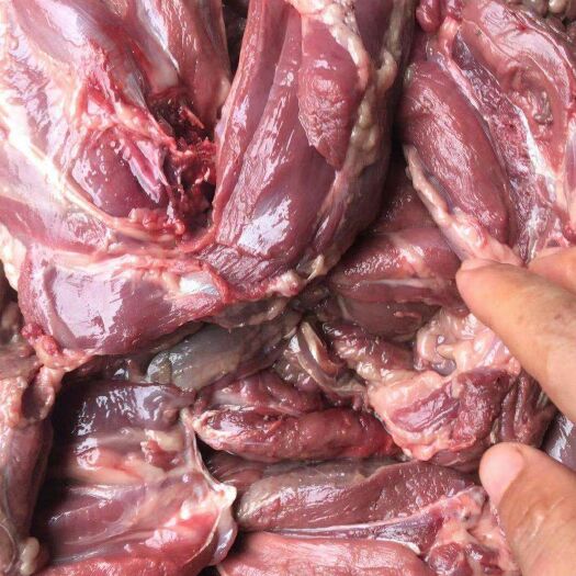 如皋市蛇饲料  豪子精肉肉质好，几元一斤，可做各种肉食，，饲料等。