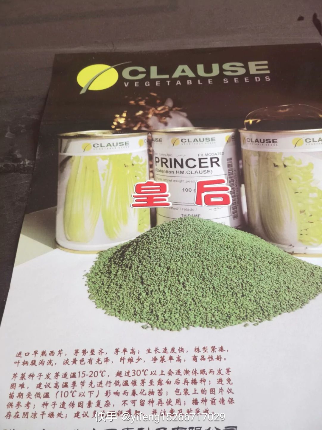 法国皇后芹菜种子  法国皇后芹菜苗