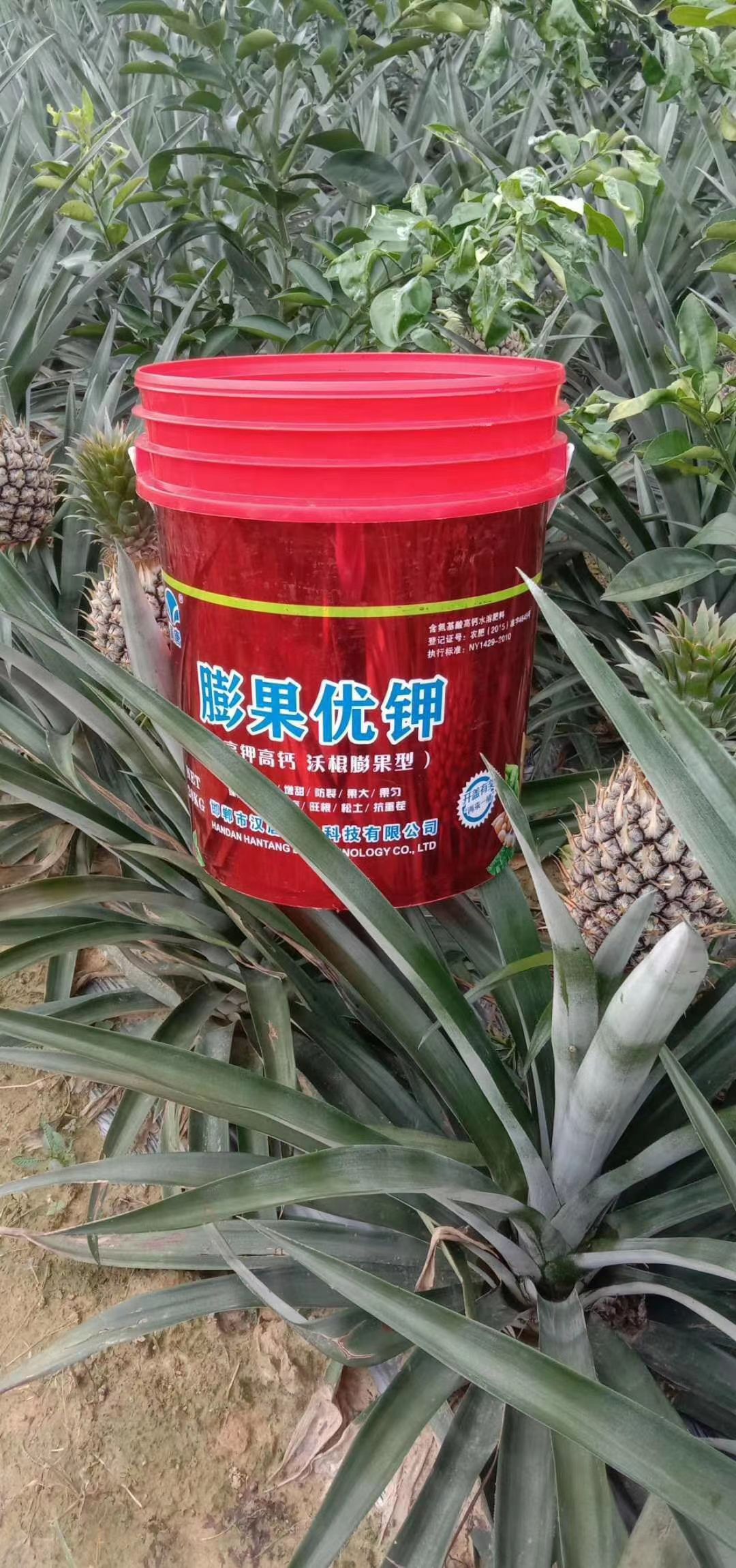 冲施肥  汉唐–膨果优钾
